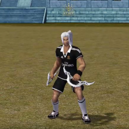 Set Ninja