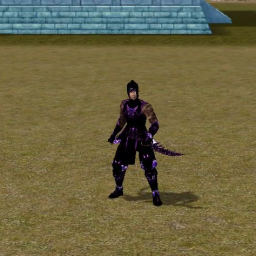 Perso Ninja
