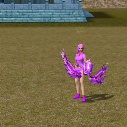 Set Ninja