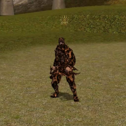 Set Ninja