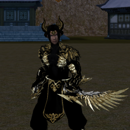 Set personalizat Ninja