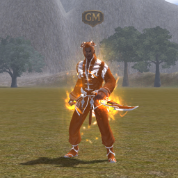 Set personalizat Ninja