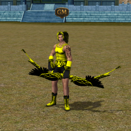 Set personalizat Ninja