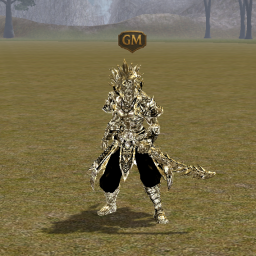 Set personalizat ninja